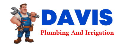 Trusted plumber in RISING SUN